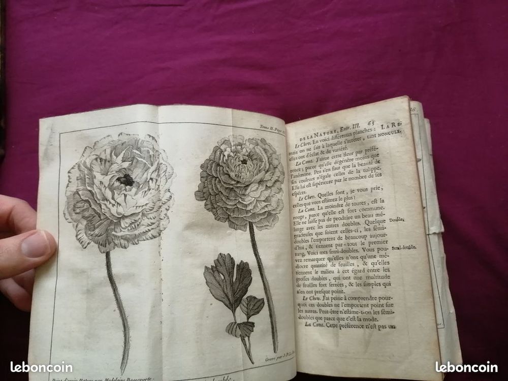 le spectacle de la nature entretien particularit&eacute;s naturelle Livres et BD