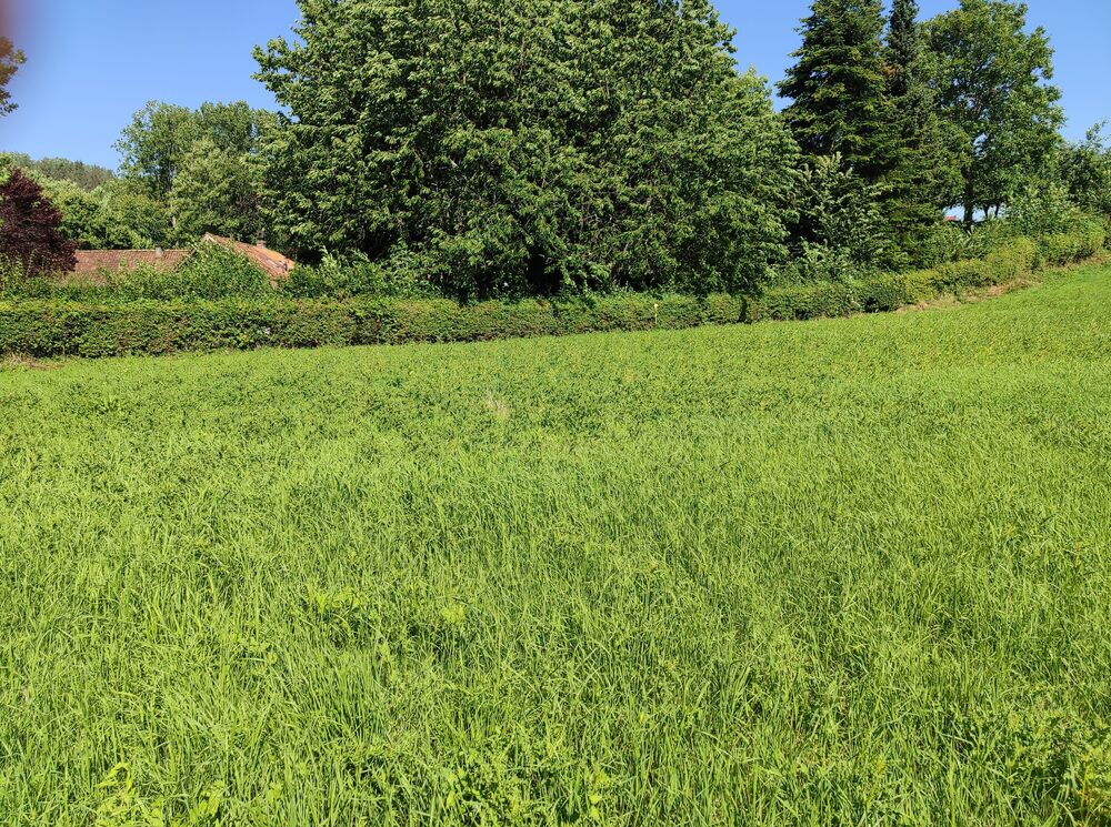 Vente Terrain TERRAIN CONSTRUCTIBLE 1 161 M² Bernieulles