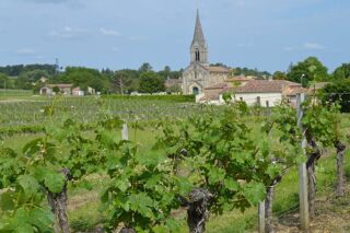  Propriété/château à vendre 10 pièces 400 m²