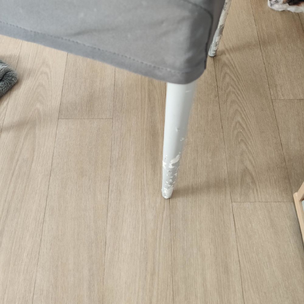 Donne 4 chaises Meubles