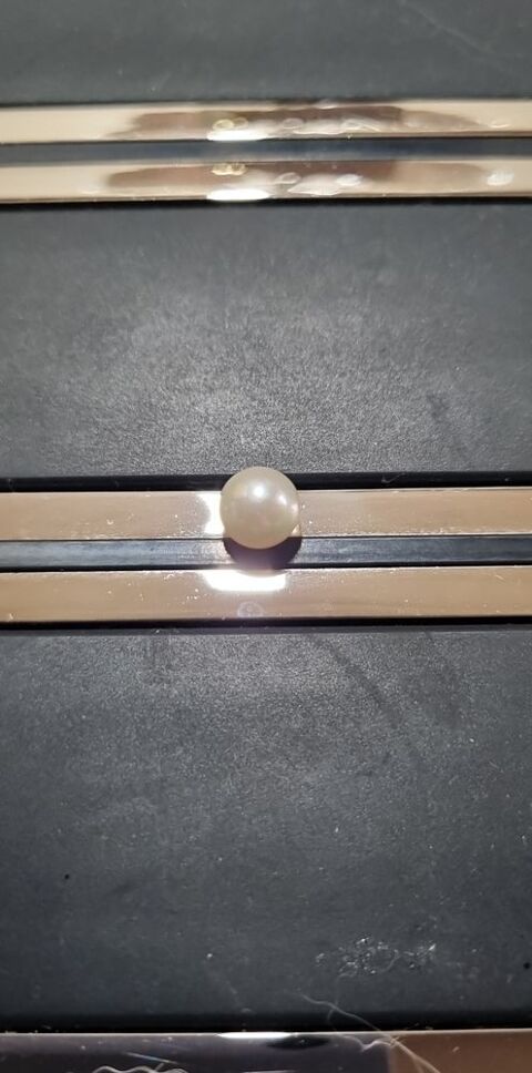 Vraie perle des �les 20 Oullins (69)