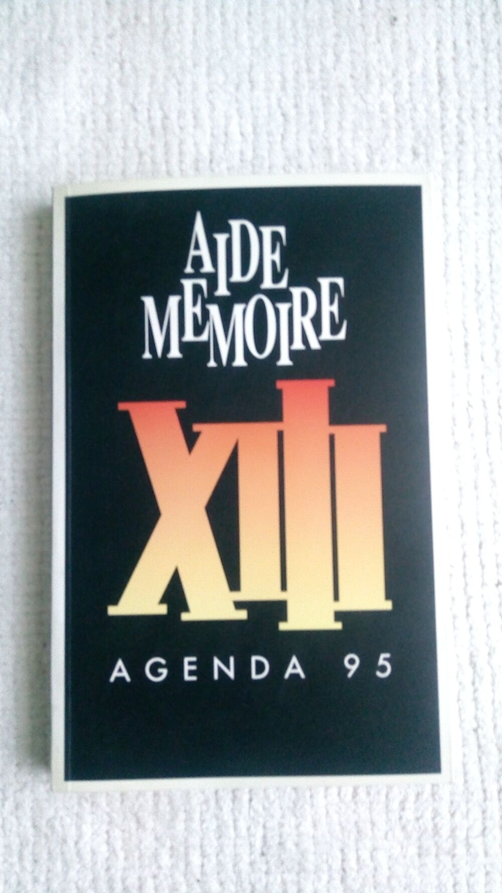 Agenda XIII 1995 