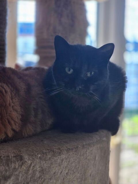 TABATA 210 76000 Rouen