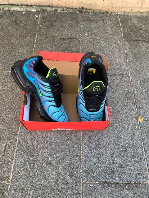 Nike air TN Meaux (77)