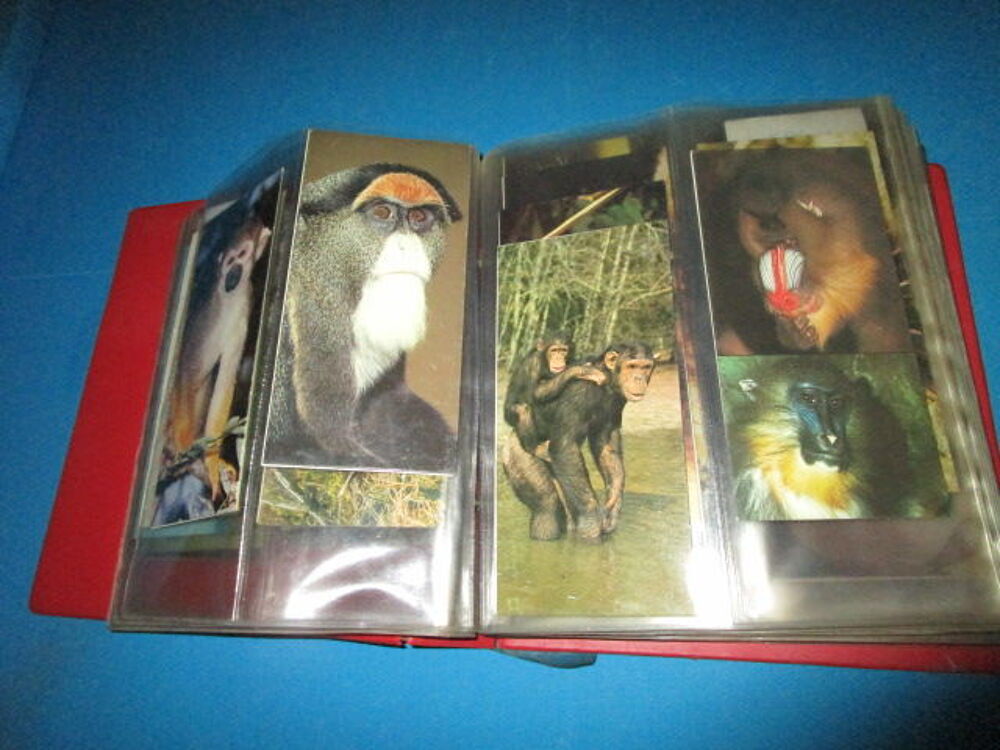 LOT CARTES ANIMAUX"MERVEILLES DU MONDE-NESTLE" 