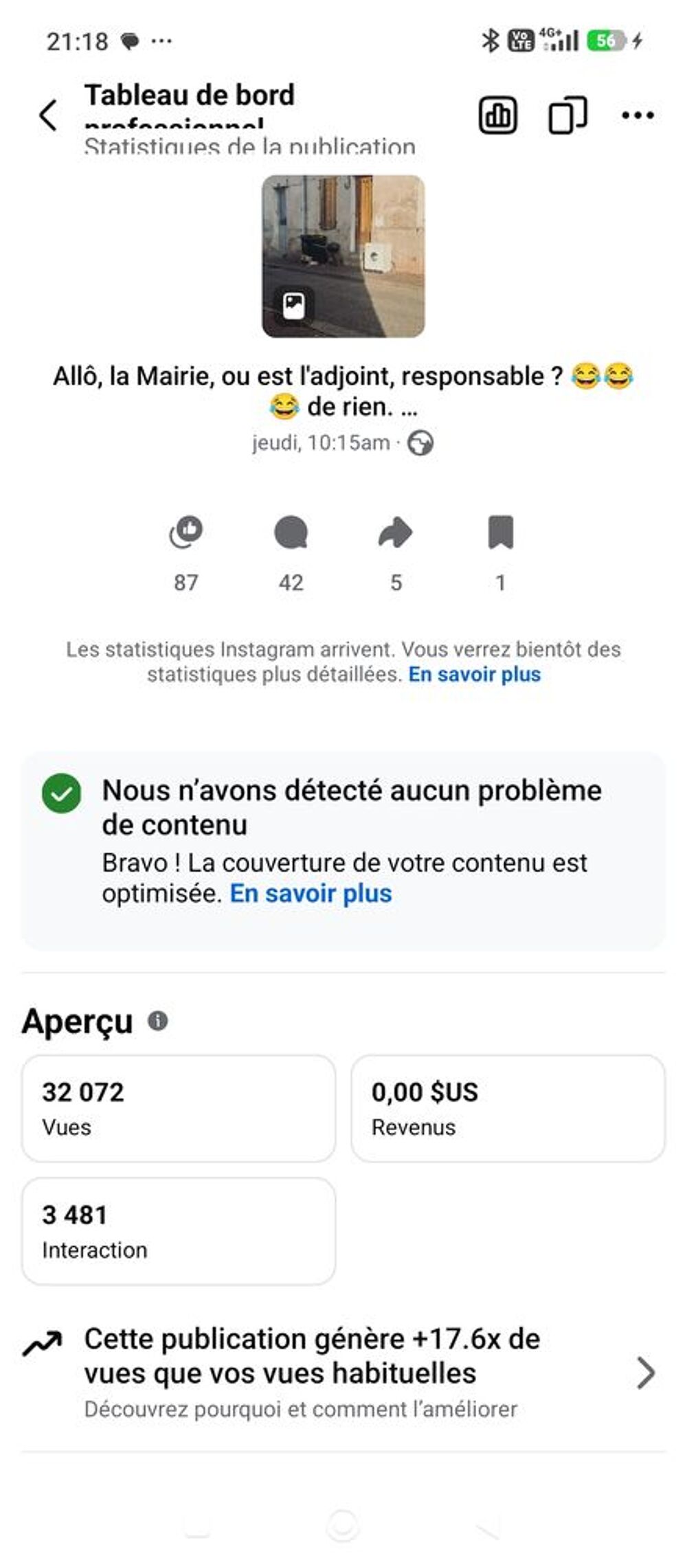   Poule pondeuse et ornement 
