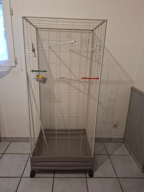 Cage oiseaux sur roulettes Toulouse (31)