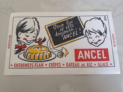 Buvard Ancel 2 Vendme (41)