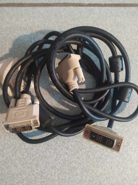 Lot de 2 cbles DVI de 1,70 m
10 Oriol-en-Royans (26)