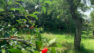  Maison � vendre 6 pi�ces 100 m�