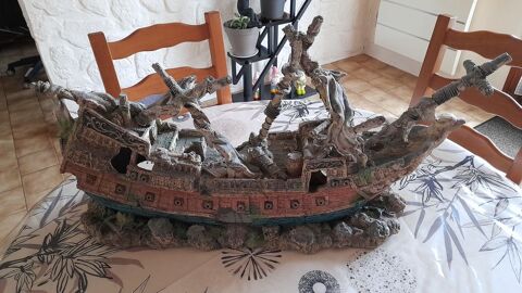 bateau aquarium 50 45400 Chanteau