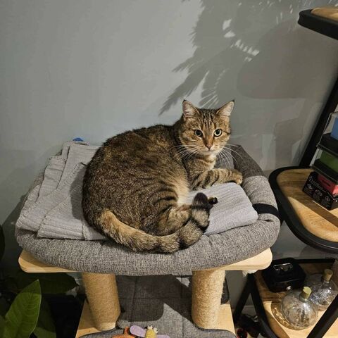 Douce Tagada 90 35000 Rennes