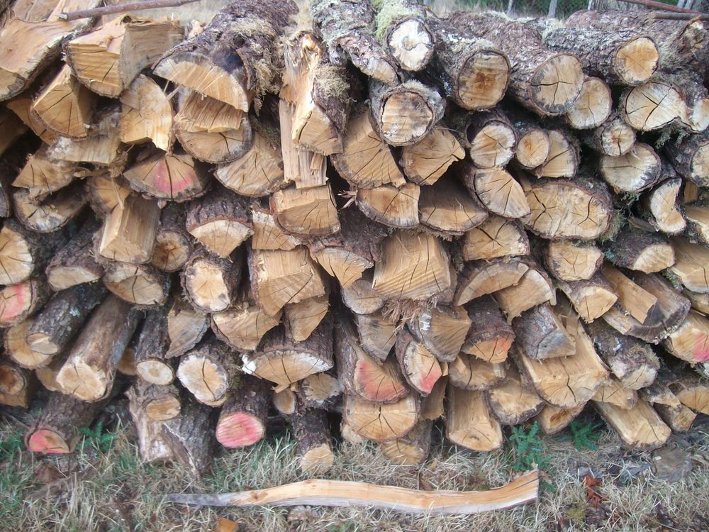 vd 5 st&egrave;res de bois sec scier en 1 metre Bricolage