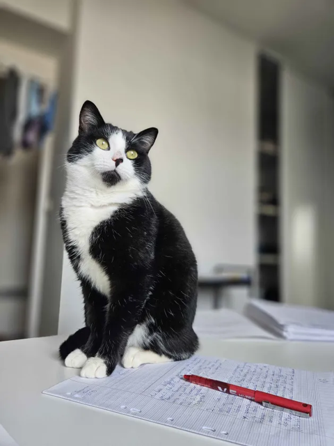 Nimbus 190 44000 Nantes