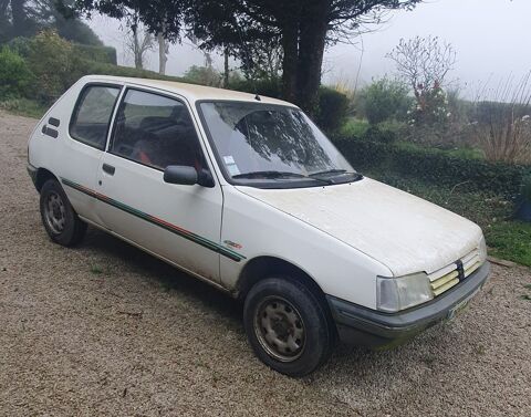 Peugeot 205 1.0 Color Line 1991 occasion Saint-Denis-le-Gast 50450