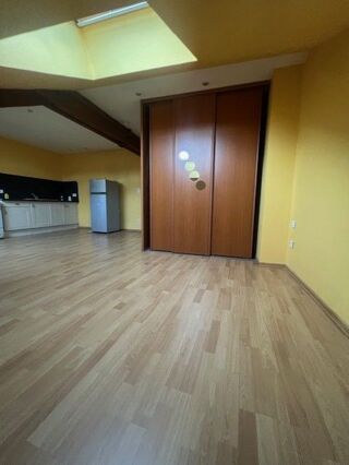  Appartement à louer 1 pièce 24 m²
