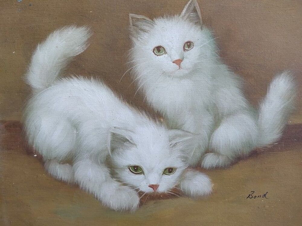 Tableau Petits Chats Chatons Blancs Sign&eacute; Bond 
Décoration
