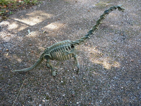 Squelette de dinosaure r�sine diplodocus
85 Castres (81)
