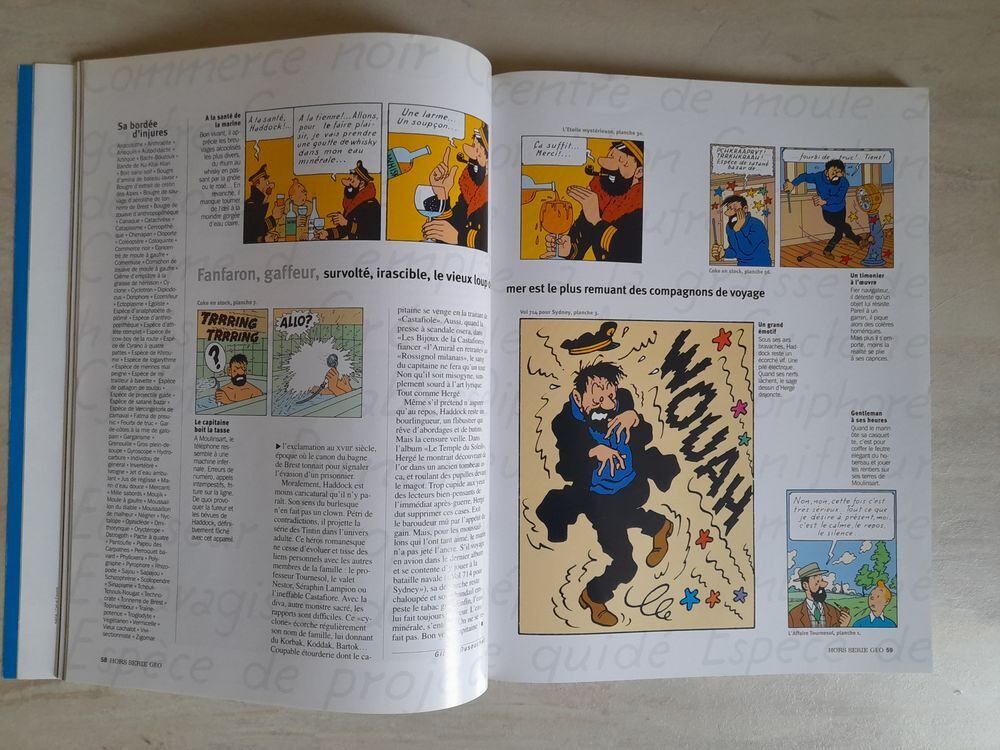 ALBUMS TINTIN Livres et BD