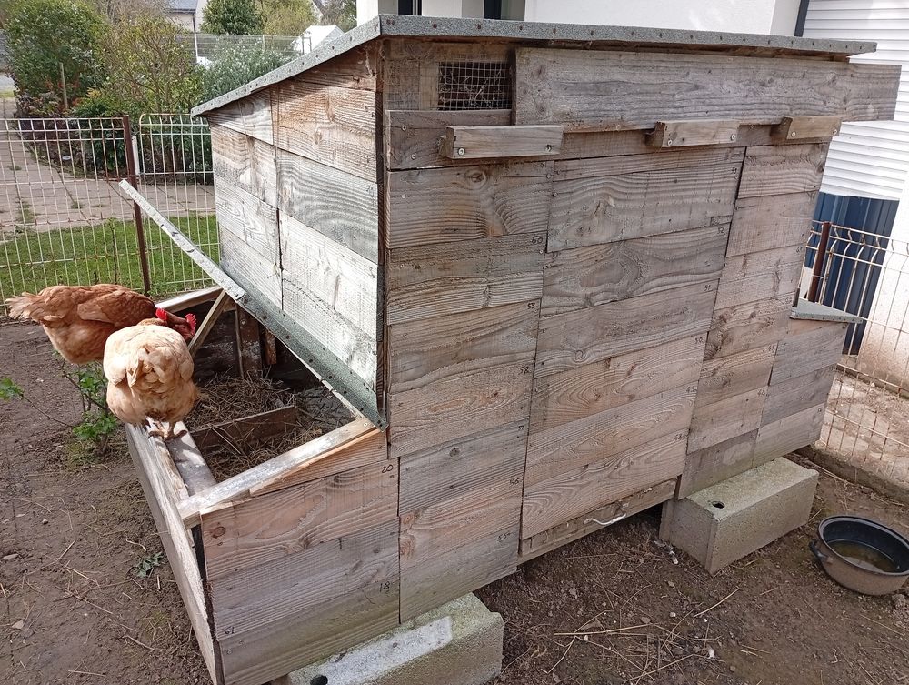   poulailler pour 6 poules 
