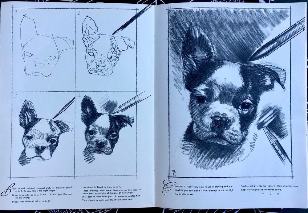 Dessiner les Chiens de W.Foster ; Grand livre NEUF Livres et BD