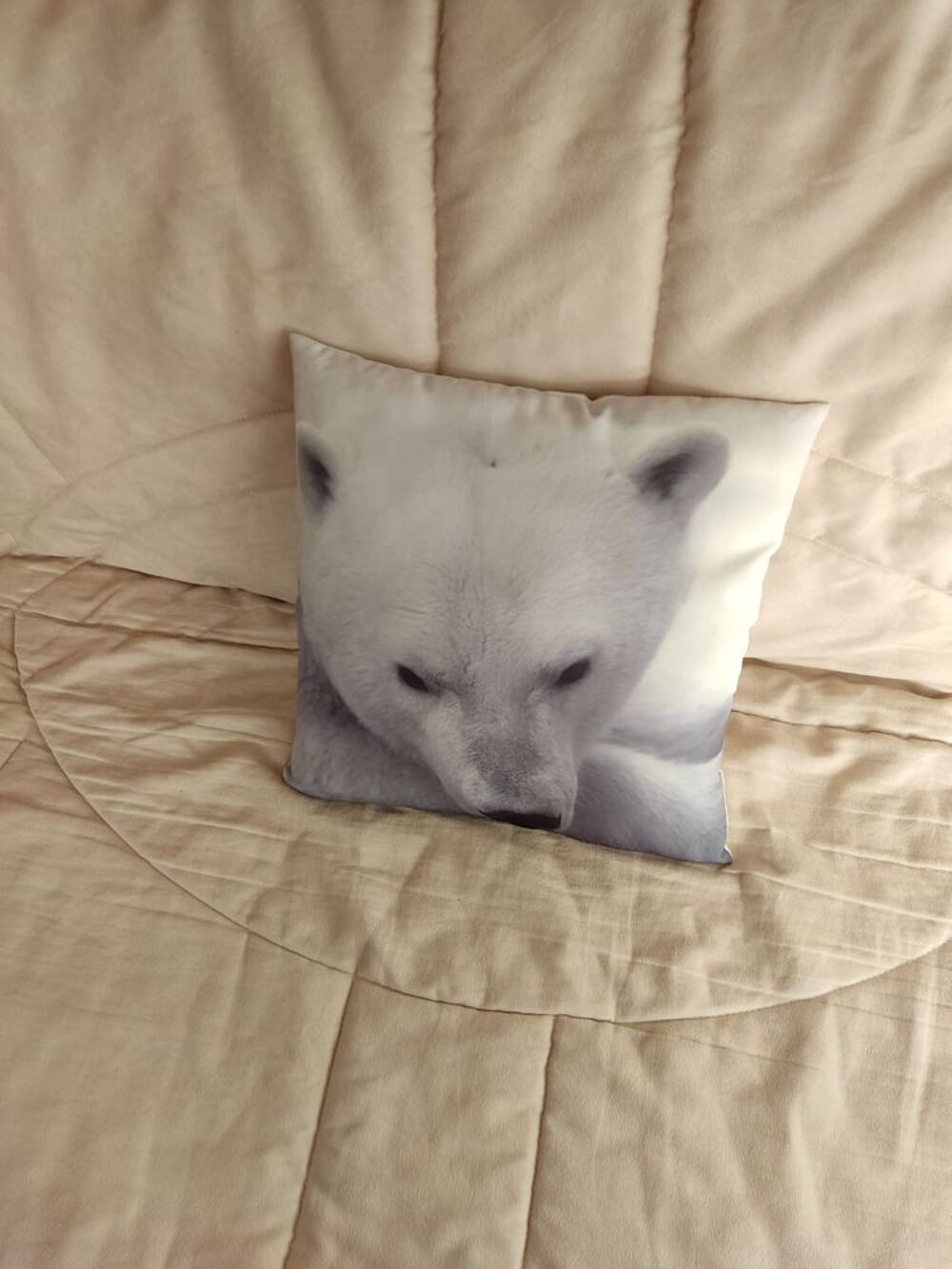 3 coussins ours polaire - &eacute;tat neuf Décoration