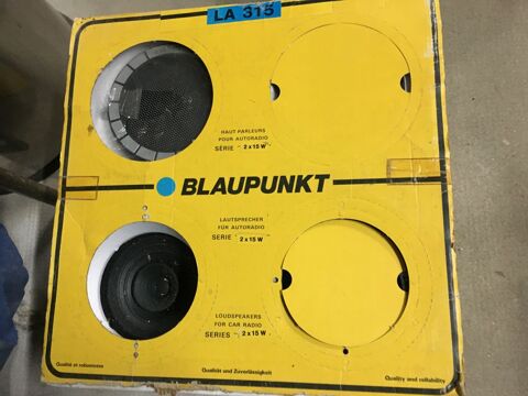 HAUT PARLEUR BLAUPUNKT 10 Pionsat (63)