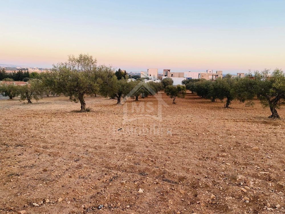 Vente Terrain Terrain de 4018 m² à 200 dt/m² à Hammamet Sud Hammamet sud, tunisia (Tunisie)