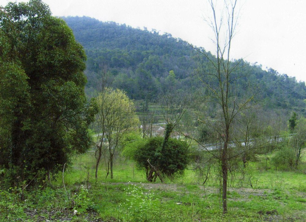 Vente Terrain GRAND TERRAIN CONSTRUCTIBLE à BARGEMON (var)Idivisé en 4 ter Bargemon