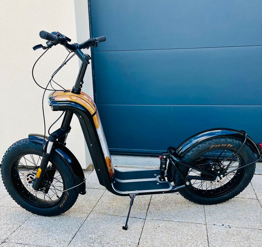 Trottinette Zosh Mountain &eacute;lectrique Sports