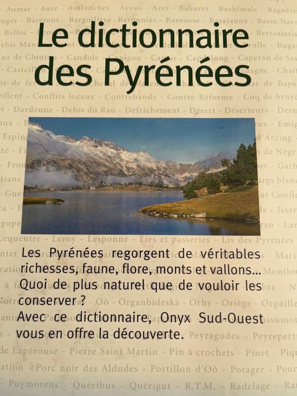 Le dictionnaire des Pyr&eacute;nn&eacute;es France- Espagne Livres et BD