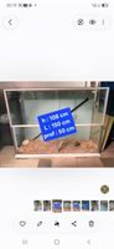   Terrarium xxl 