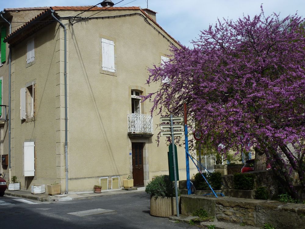 Vente Maison Maison 150m² - 8 pièces avec terrasse dans station thermale Rennes-les-bains