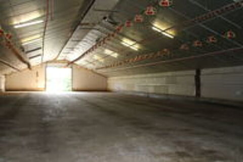   occasion 85410 Thouarsais-Bouildroux