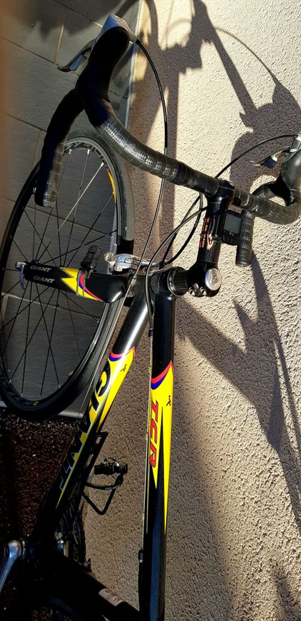 V&eacute;lo de course Vélos