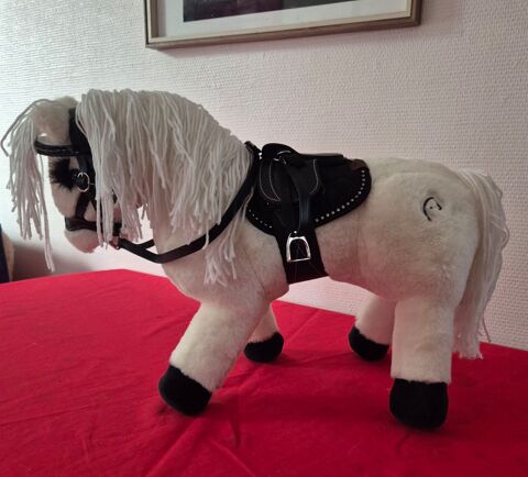 Pony Academy Flers (61)
