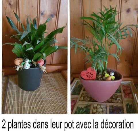 2 plantes avec pot et décorations 5 Jaunay-Clan (86)