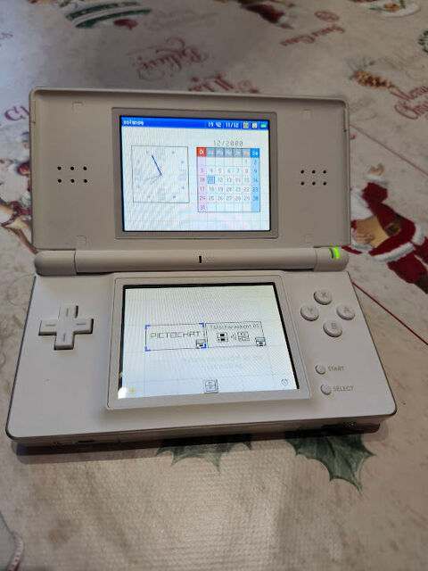 NINTENDO DS Lite 100 Saint-Dolay (56)