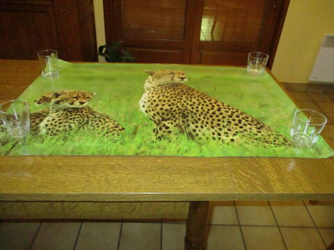 poste 80 x 60 gupards ATLAS (collectionneur ou dcoration) 0 Mrignies (59)
