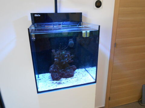 Aquarium Red Sea Nano 75 litres 83780 Flayosc