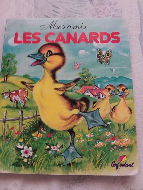 Mes amis les canards 2 Faulx (54)