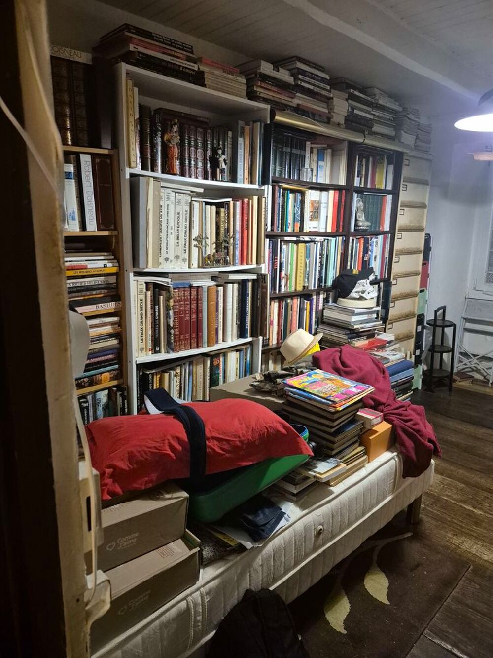 BROCANTE , livres anciens et modernes Livres et BD