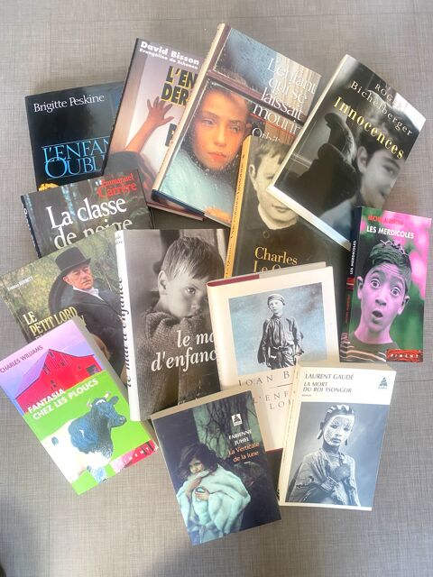 13 livres romans sur l'enfance (lot 1) 25 Nantes (44)