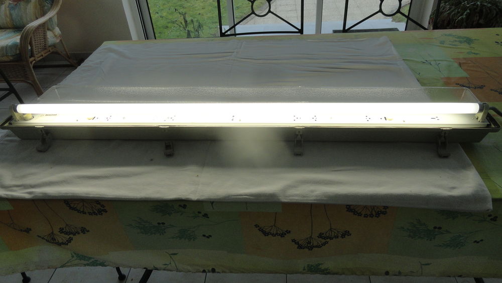 Luminaire ( n&eacute;on ) Décoration