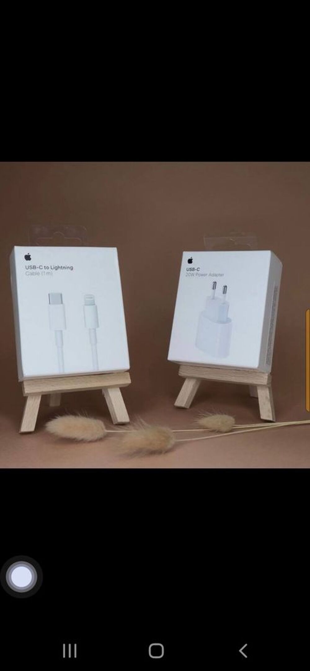 Apple Chargeur rapide Usb-c Téléphones et tablettes