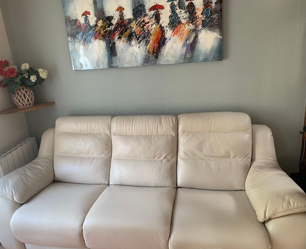 Salon tout en cuir et &eacute;lectrique Meubles