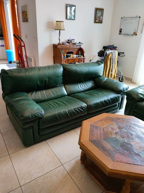 Canap cuir + fauteuil vert fonc  300 Penta-di-Casinca (20)