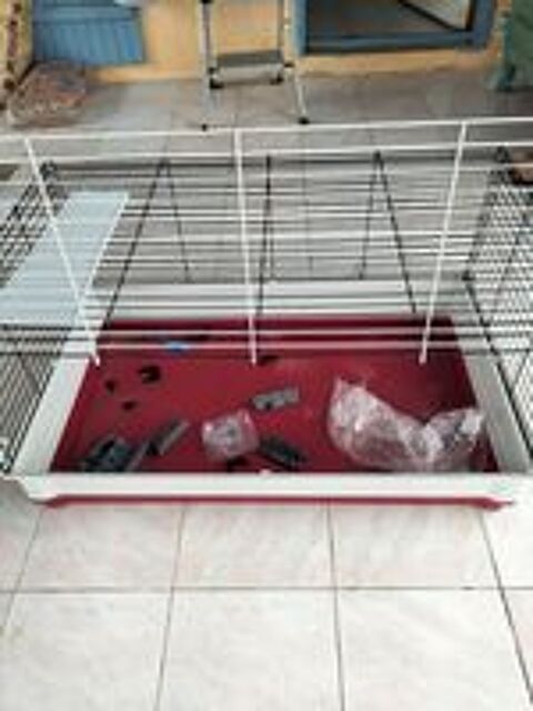  Cage rongeur  