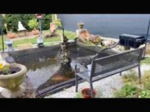   ? Carpes Koï + matériel de bassin complet  Prix à débattre 