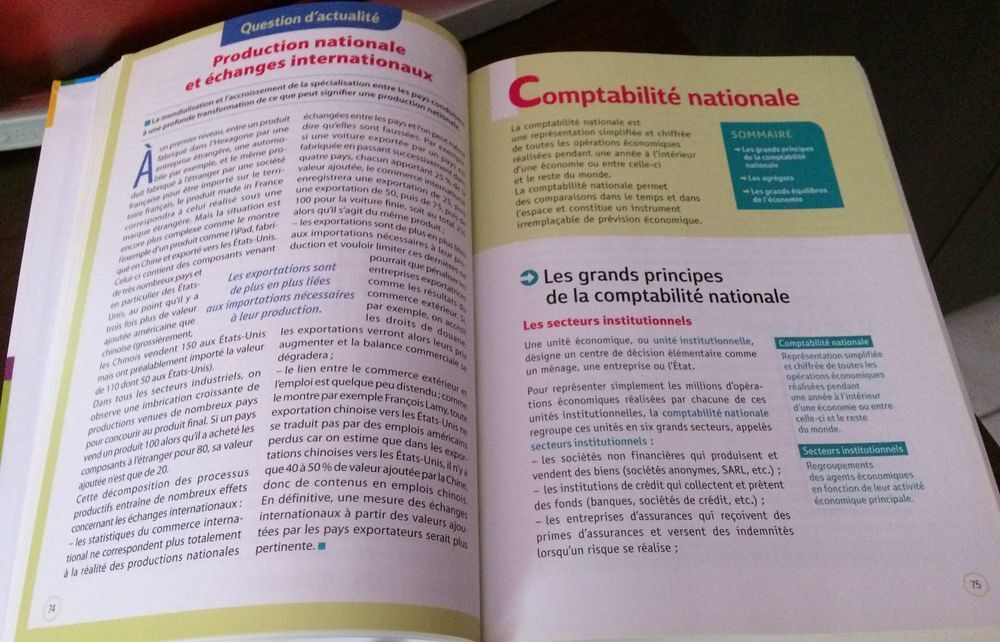 Dictionnaire SES (Lyc&eacute;e et Sup&eacute;rieur) Livres et BD
